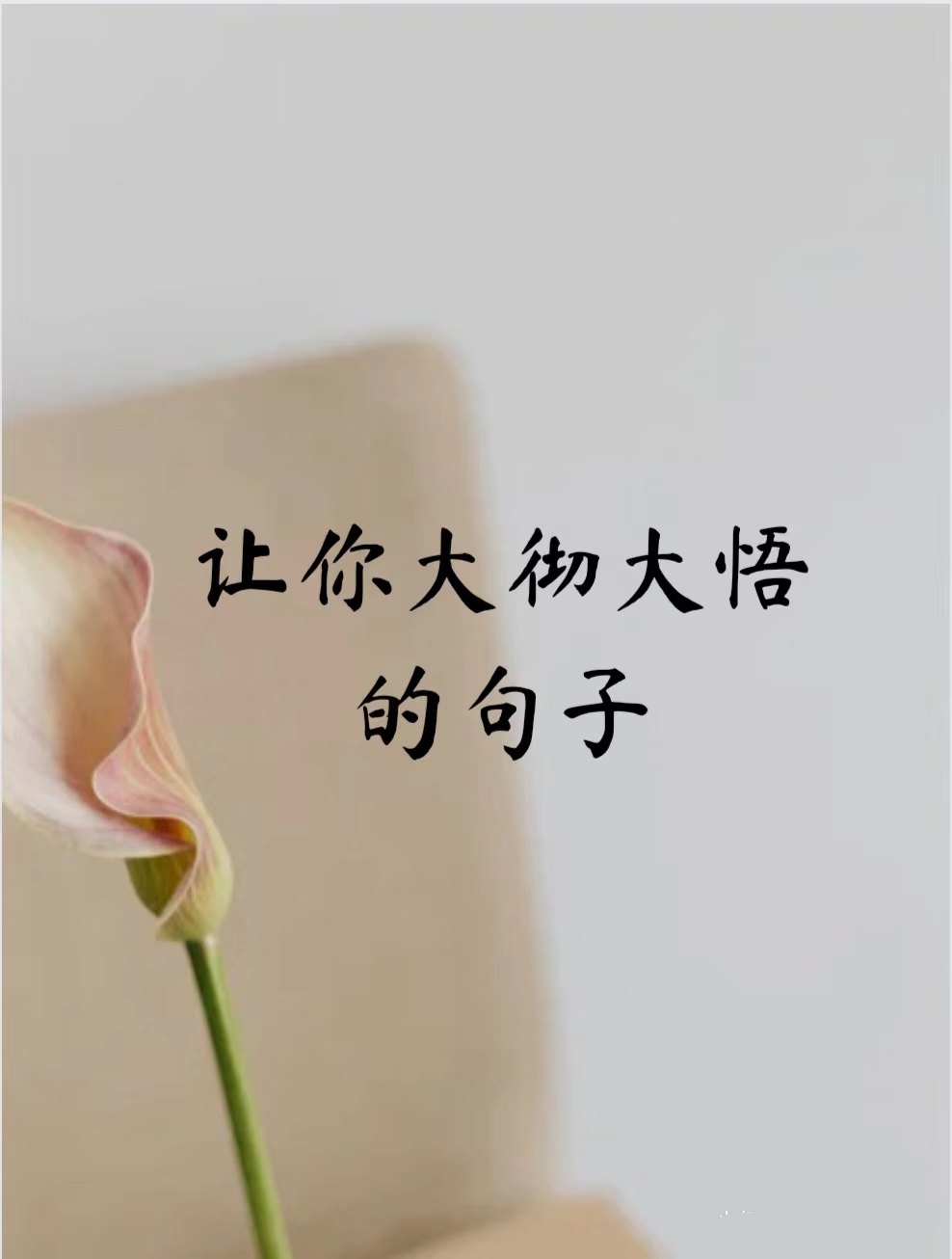 心大了事就小了,境界一旦提升,问题就立刻消失