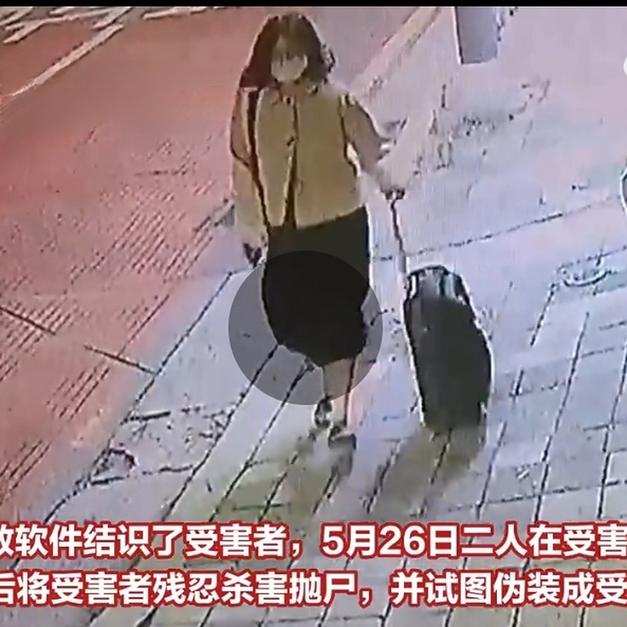 近日,韩国一名23岁女子郑有贞,杀害了一名陌生女子,被害者是一名家庭