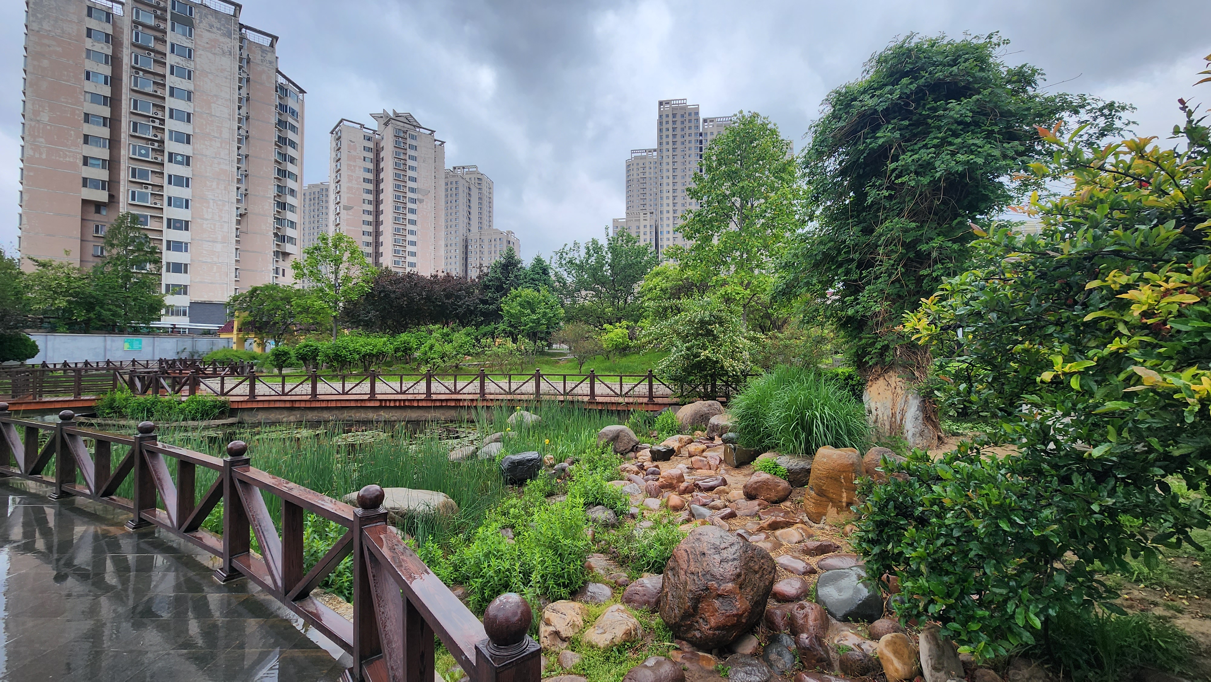 石家庄花卉园-景色优美