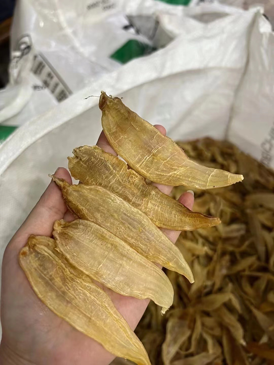 金龙胶,腊黄厚身7515小金龙鱼胶具有滋阴润肺的功效,气管不好可以