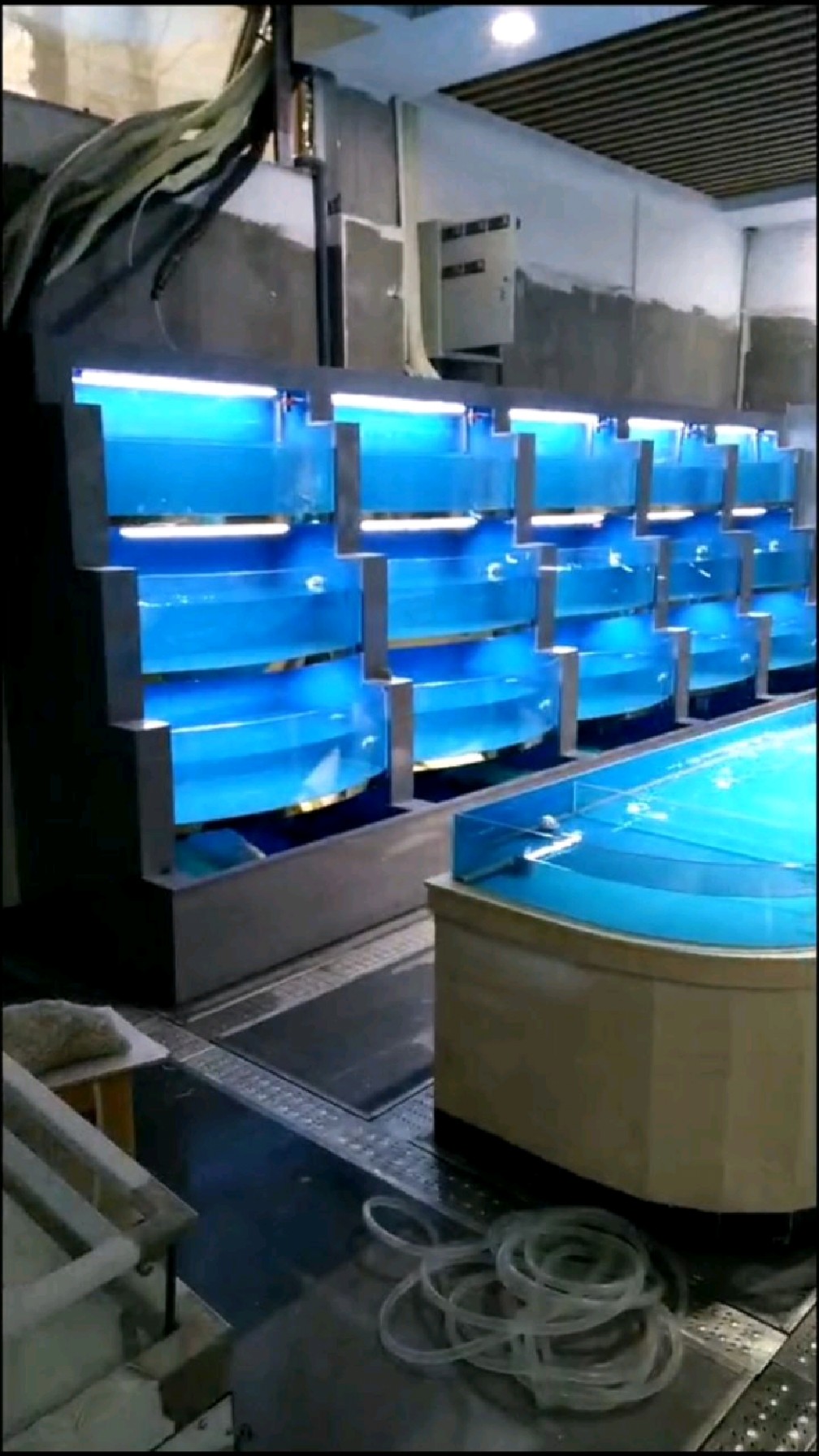 酒店海鲜池厂家定制 专业定制各类海鲜池-度小视