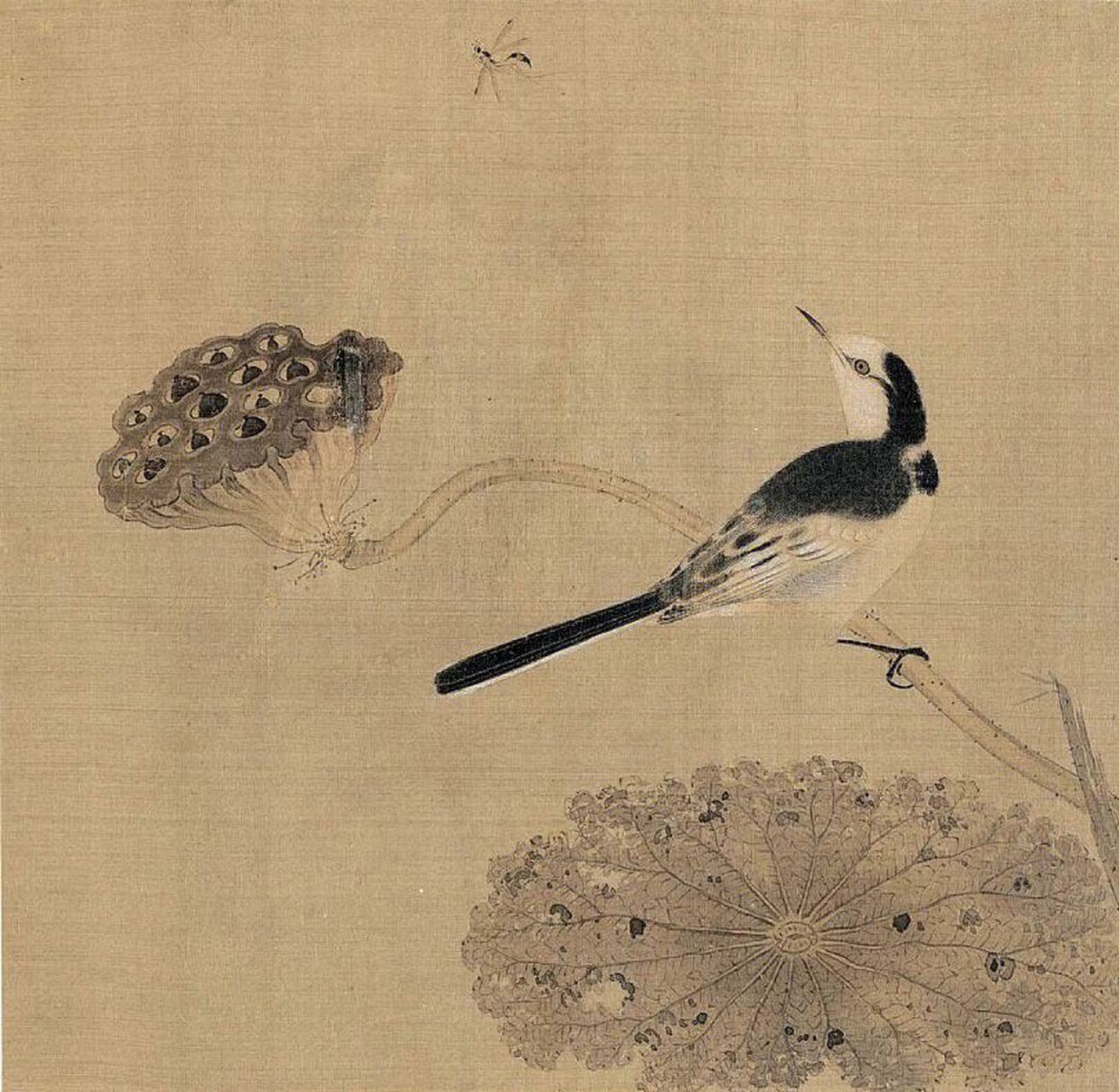 中国花鸟画中的名花卉——莲花【五】历代名家作品欣赏|宋代/《枯荷