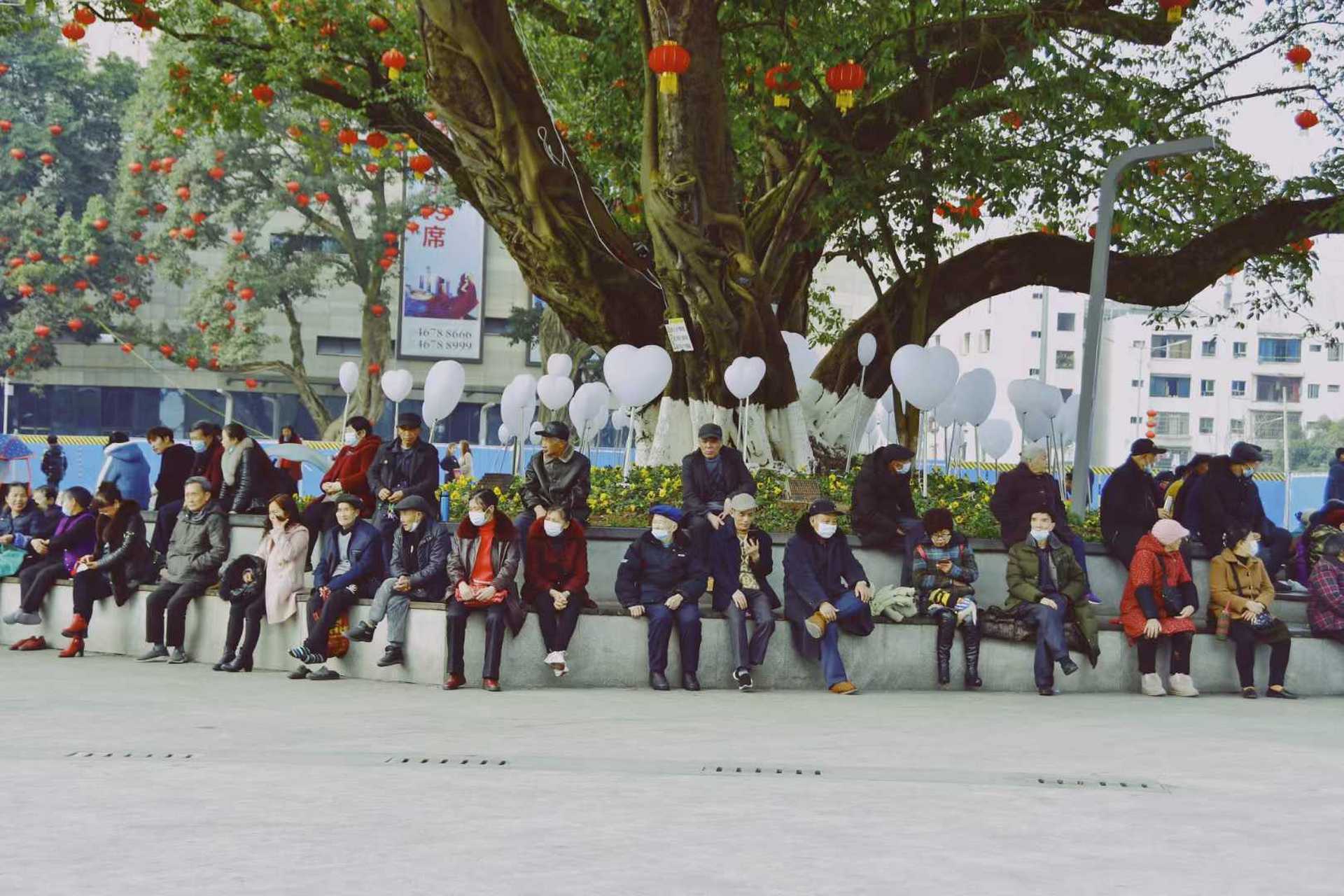 荣昌人民路步行街广场,坐在黄葛树下的老人#重庆纪实摄影