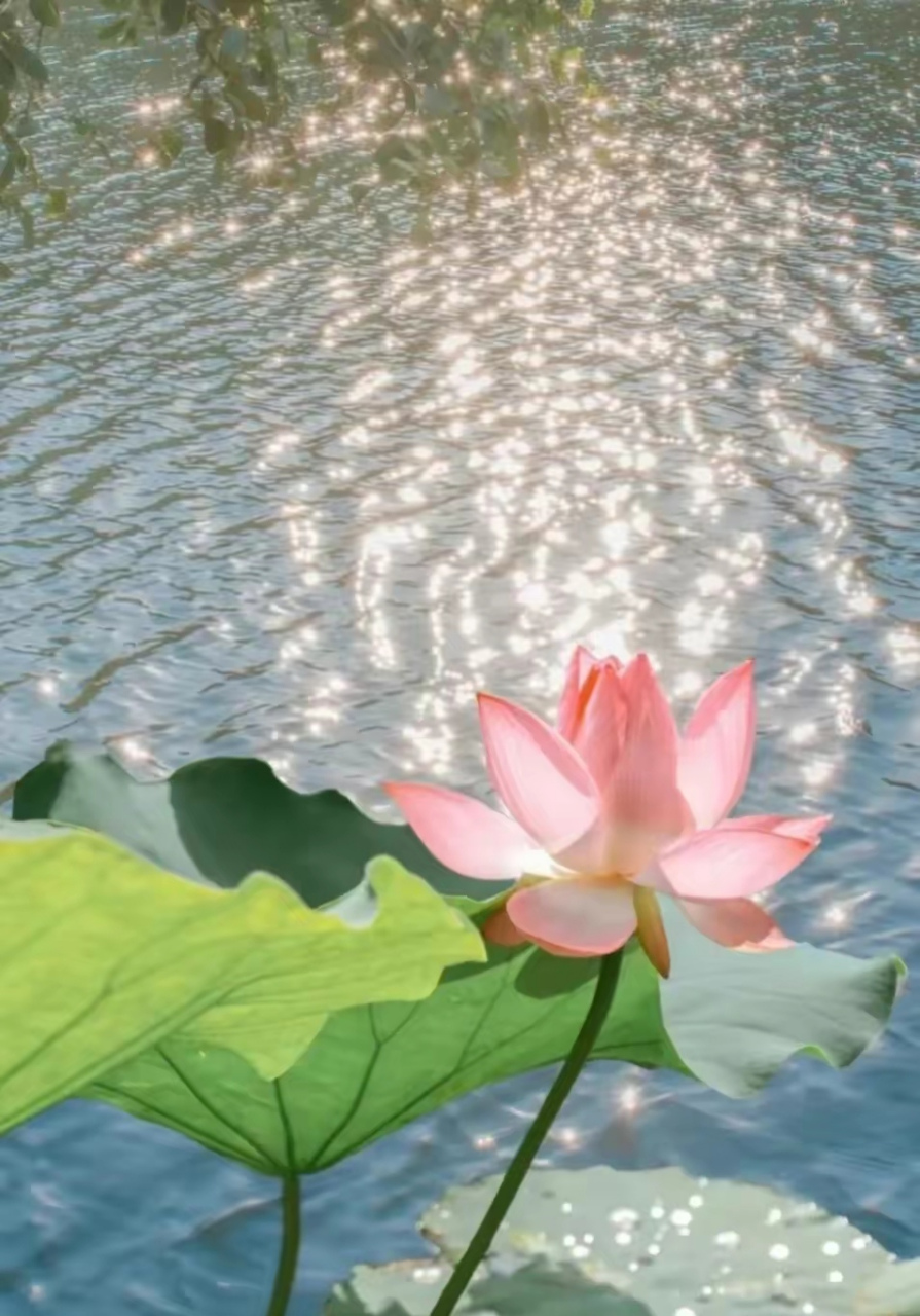 3,好书不厌看还读,益友何妨去复来.