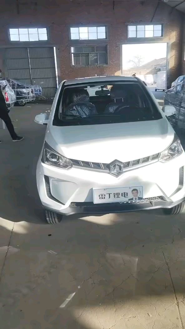 新款雷丁d80a9电动汽汽车老年代步车
