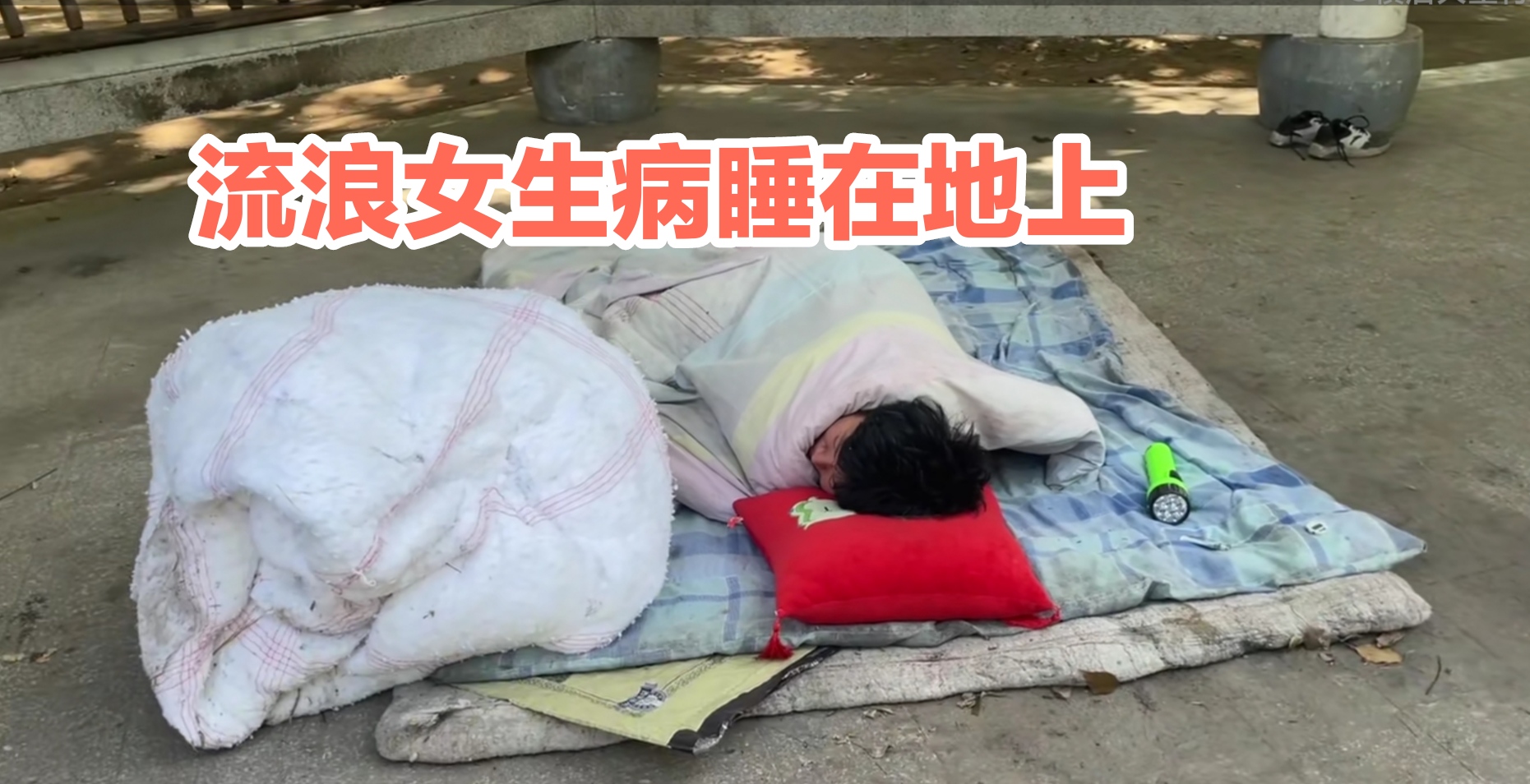 流浪女生病睡公园,好心人给送被子,网友建议:赶紧找工作