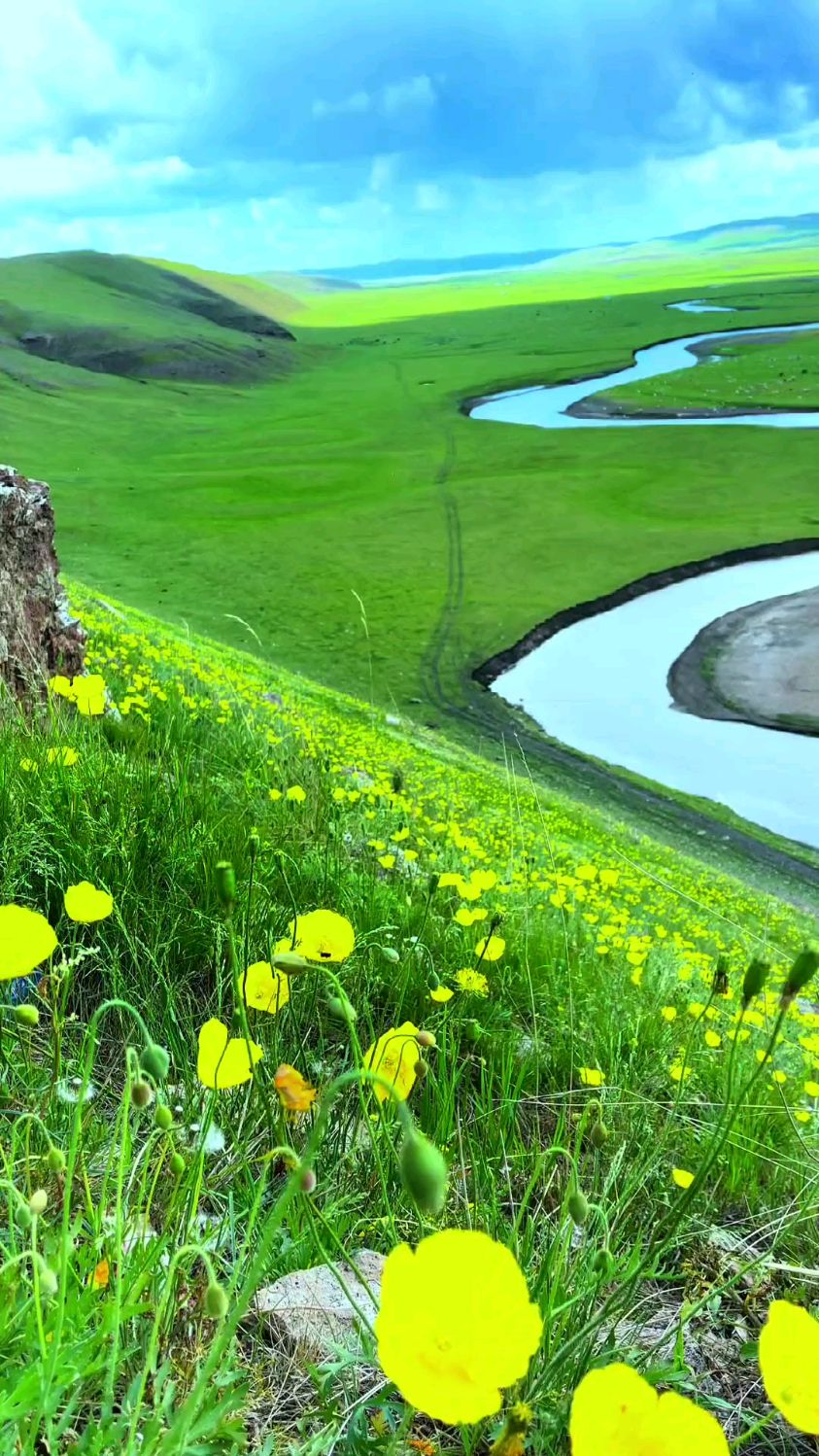 治愈系风景,呼伦贝尔大草原