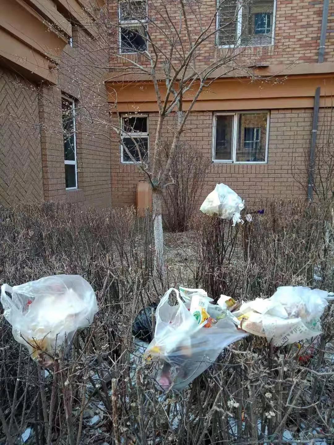 十堰北京路一小区业主拍下的画面,有人从楼上倒垃圾