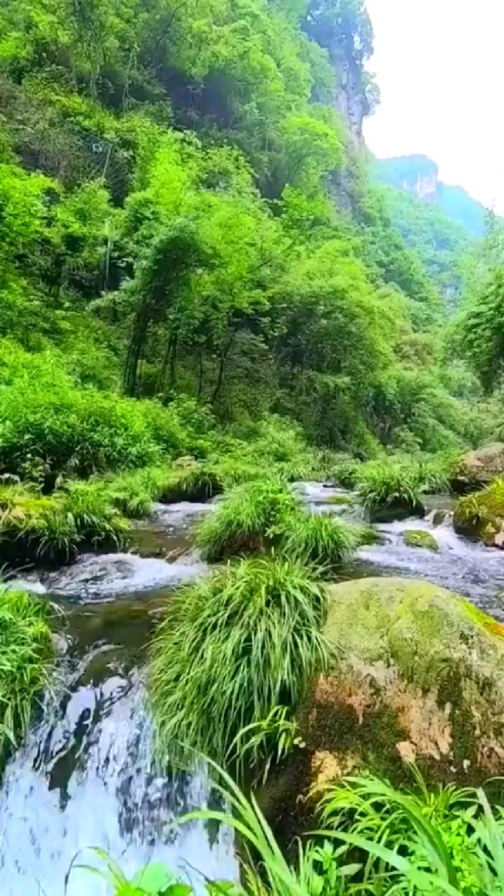 非常好的野外美景