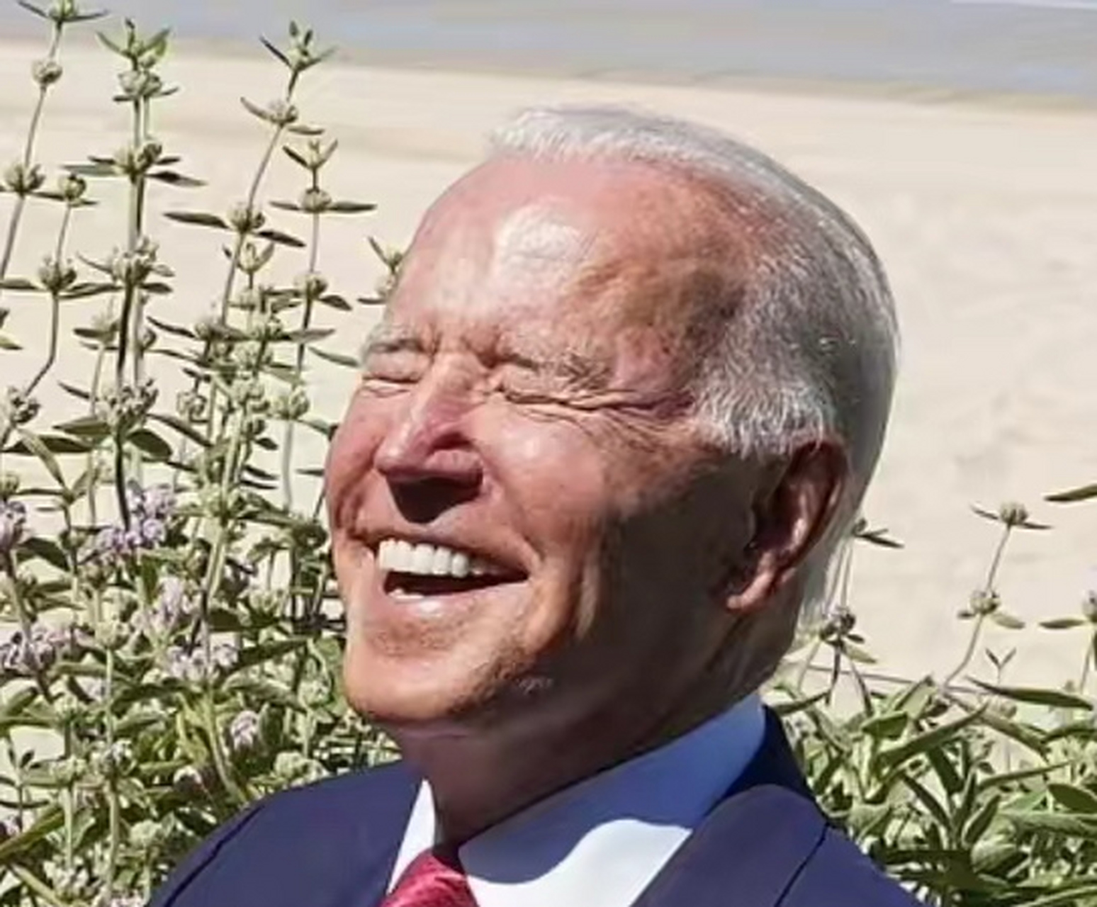 拜登不敢再狡黠地"微笑"了,他的牙齿要"罢工",整天为俄乌冲突"拱火浇