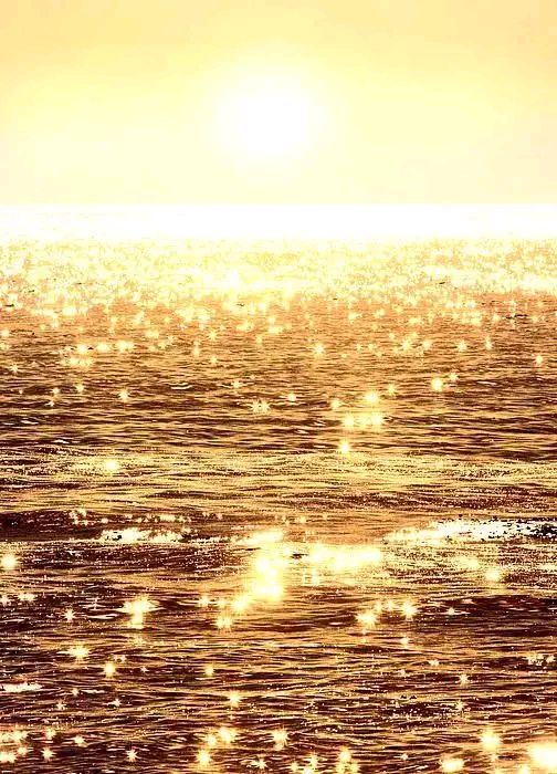 是什么样的摄像师能拍下这么美的图呢