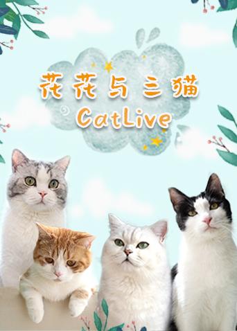 花花与三猫CatLive2019