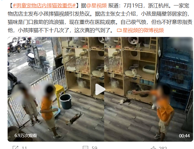 男童宠物店内摔猫致重伤,引发关注和思考