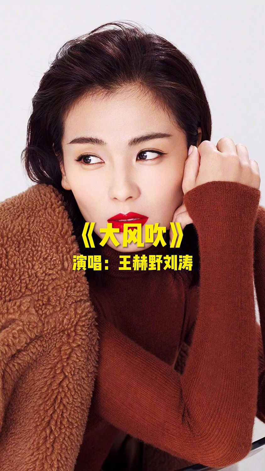 大风吹演唱王赫野刘涛