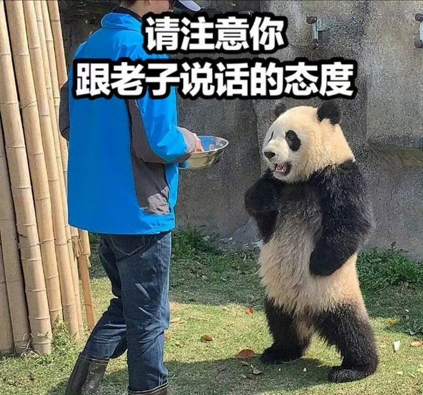 我是你爹壁纸图片