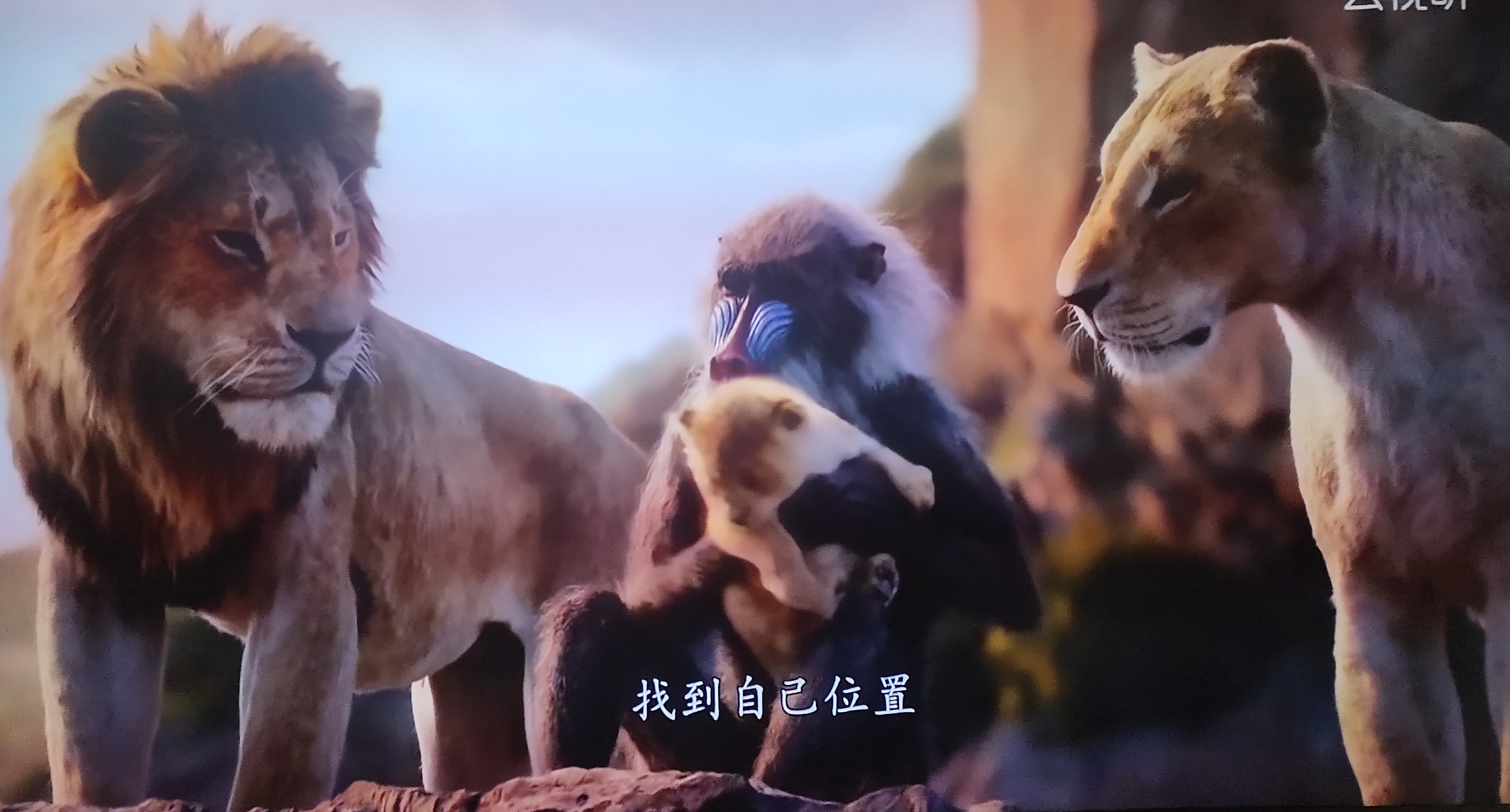 在这生命循环中,找到自己的位置