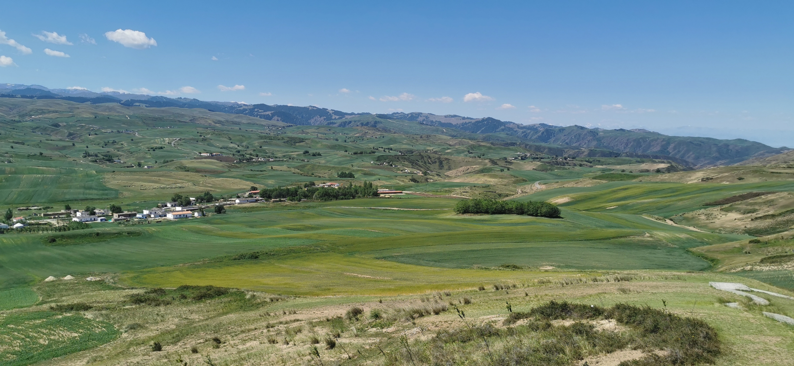 遇见好风景# 位于新疆天山东部南麓的木垒哈萨克自治县是农耕文化与