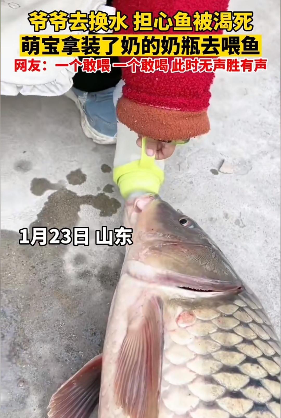 盘点那些令人发笑的图片:我都在开导你了,希望你不要恩将仇报!