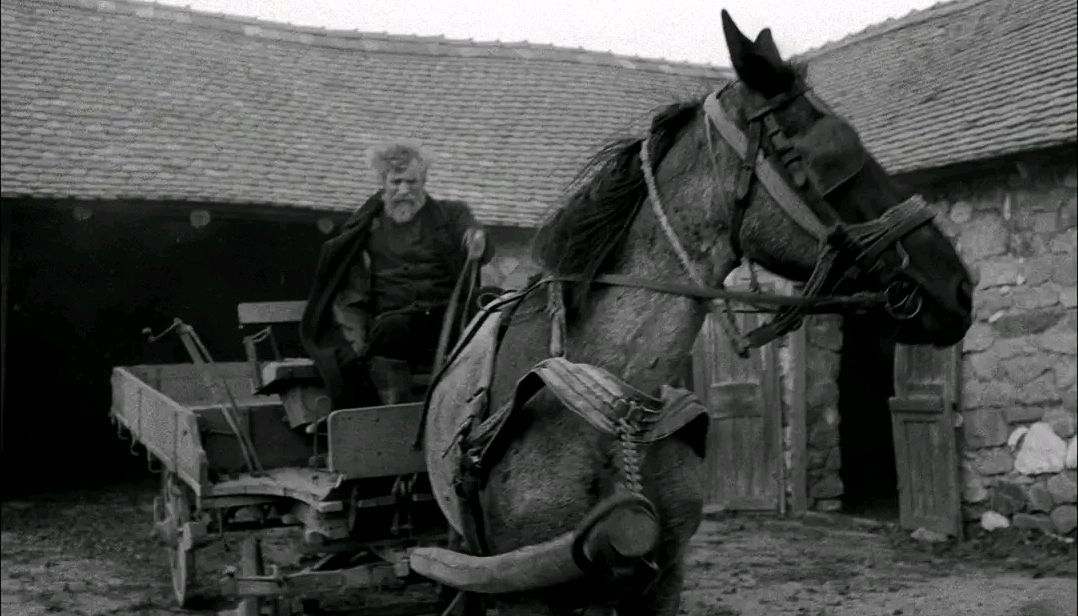 尼采的最后一泪:电影《都灵之马》解读