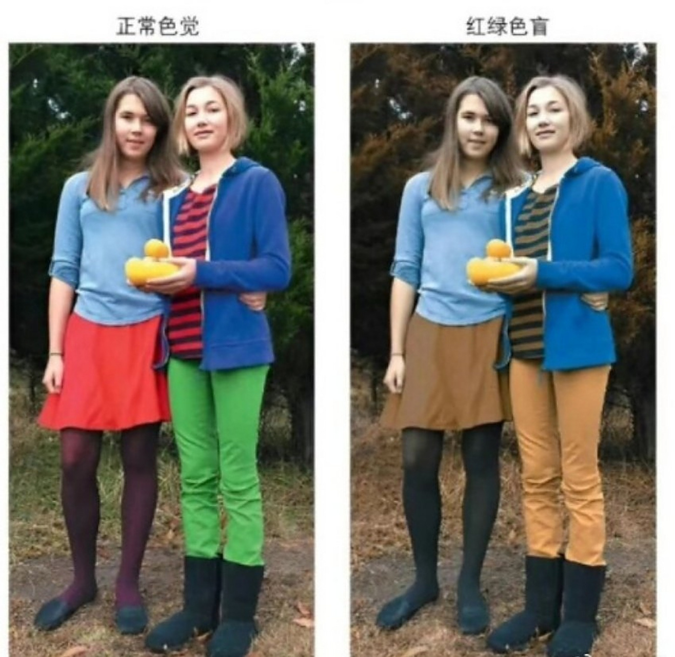 红绿色盲眼中的世界是这样子的啊!