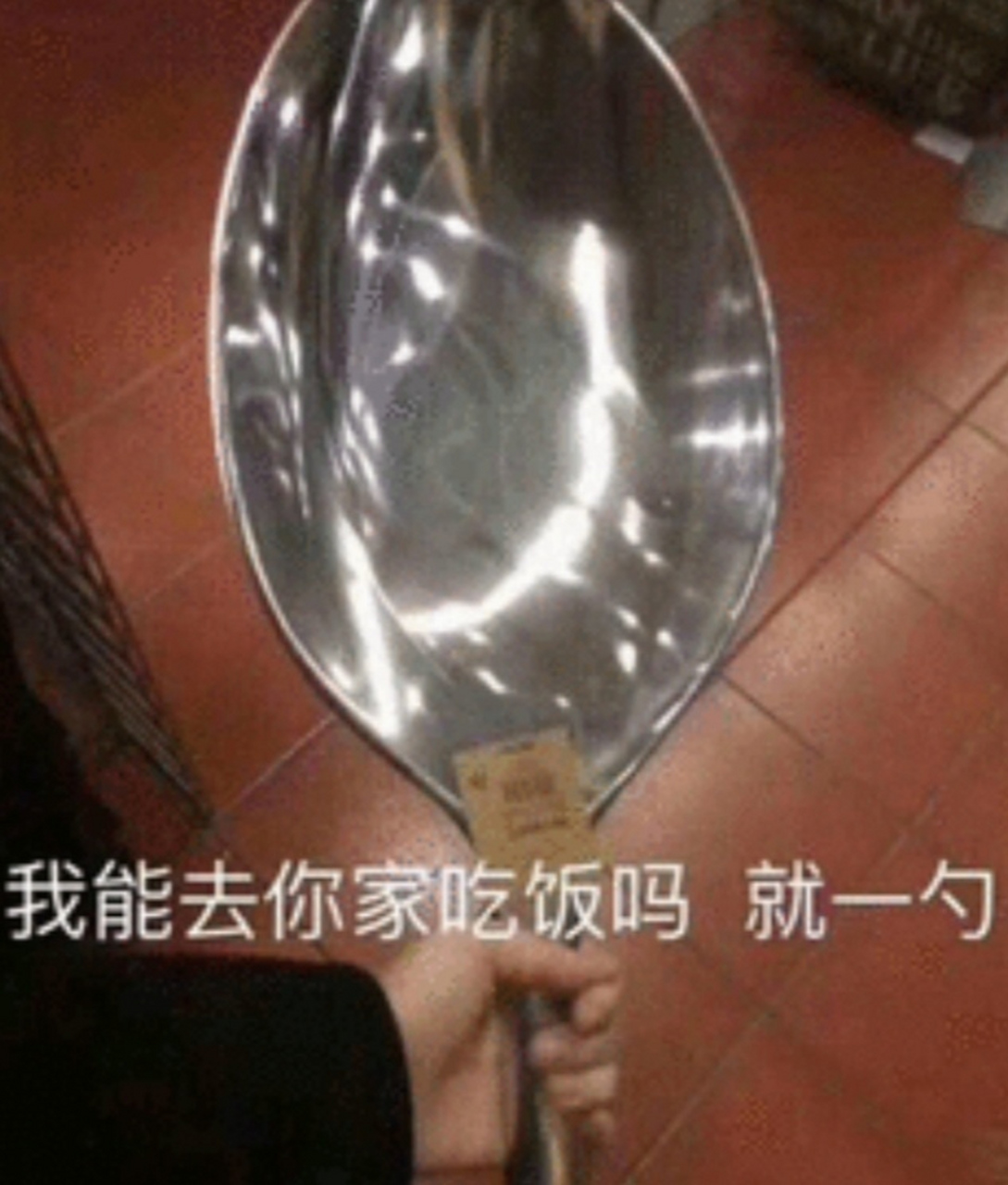 可以去你家蹭饭吗?我吃得不多,一勺就够了[大笑]