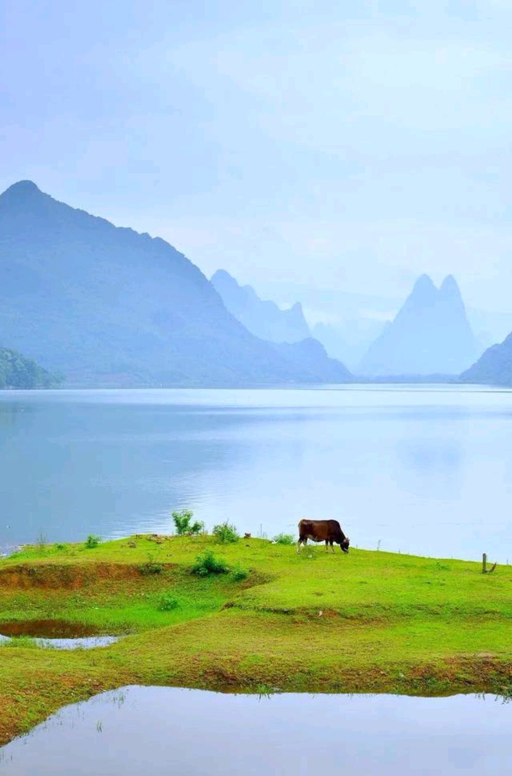 黄元吉论凝神下手处