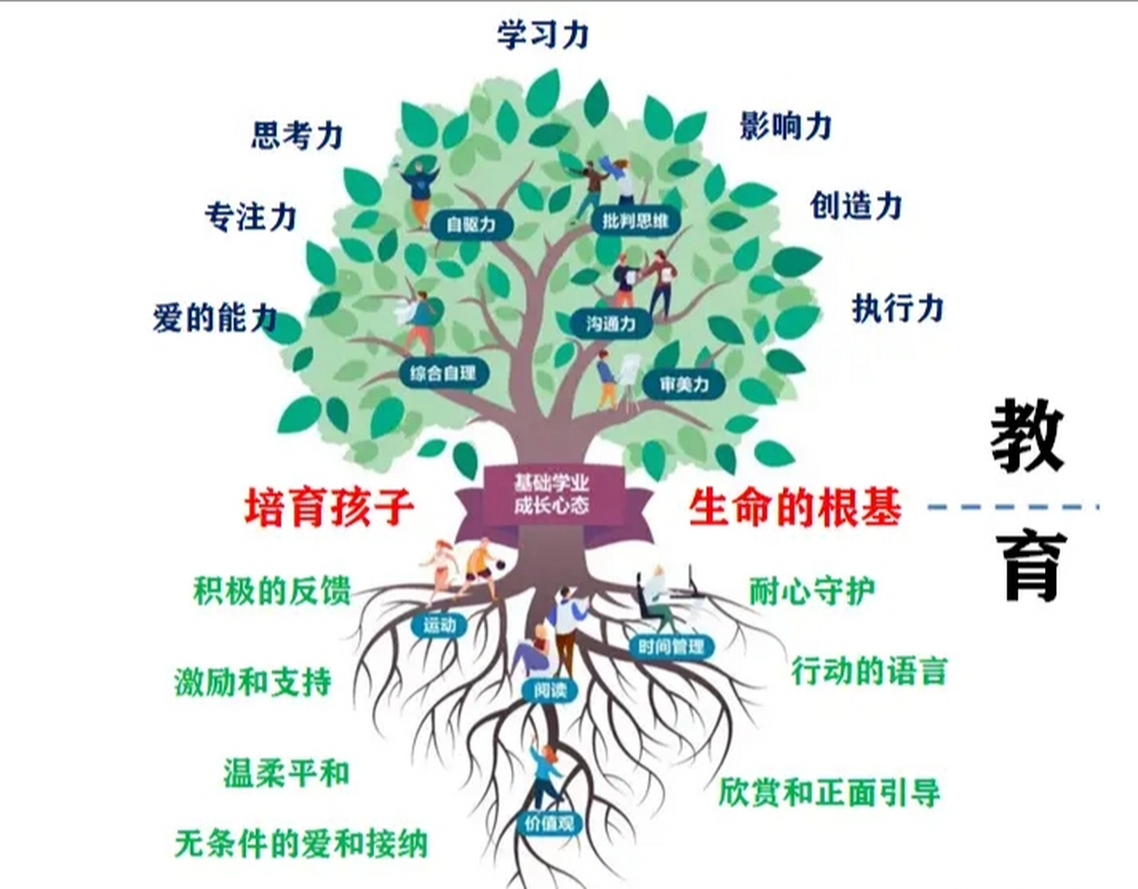 超实用的一棵教育树"教"与"育"的思考!