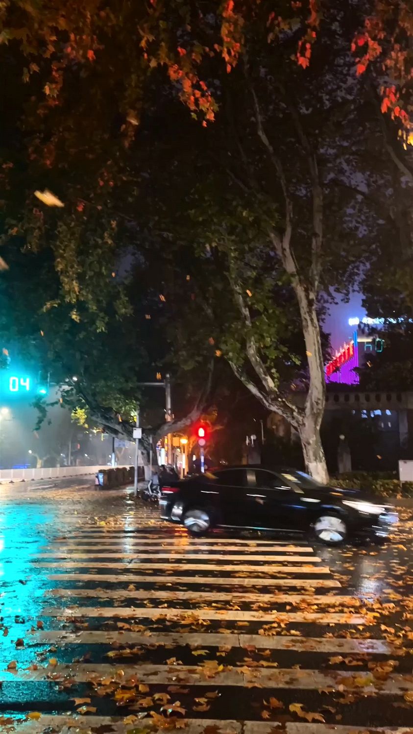 下雨的街头风景