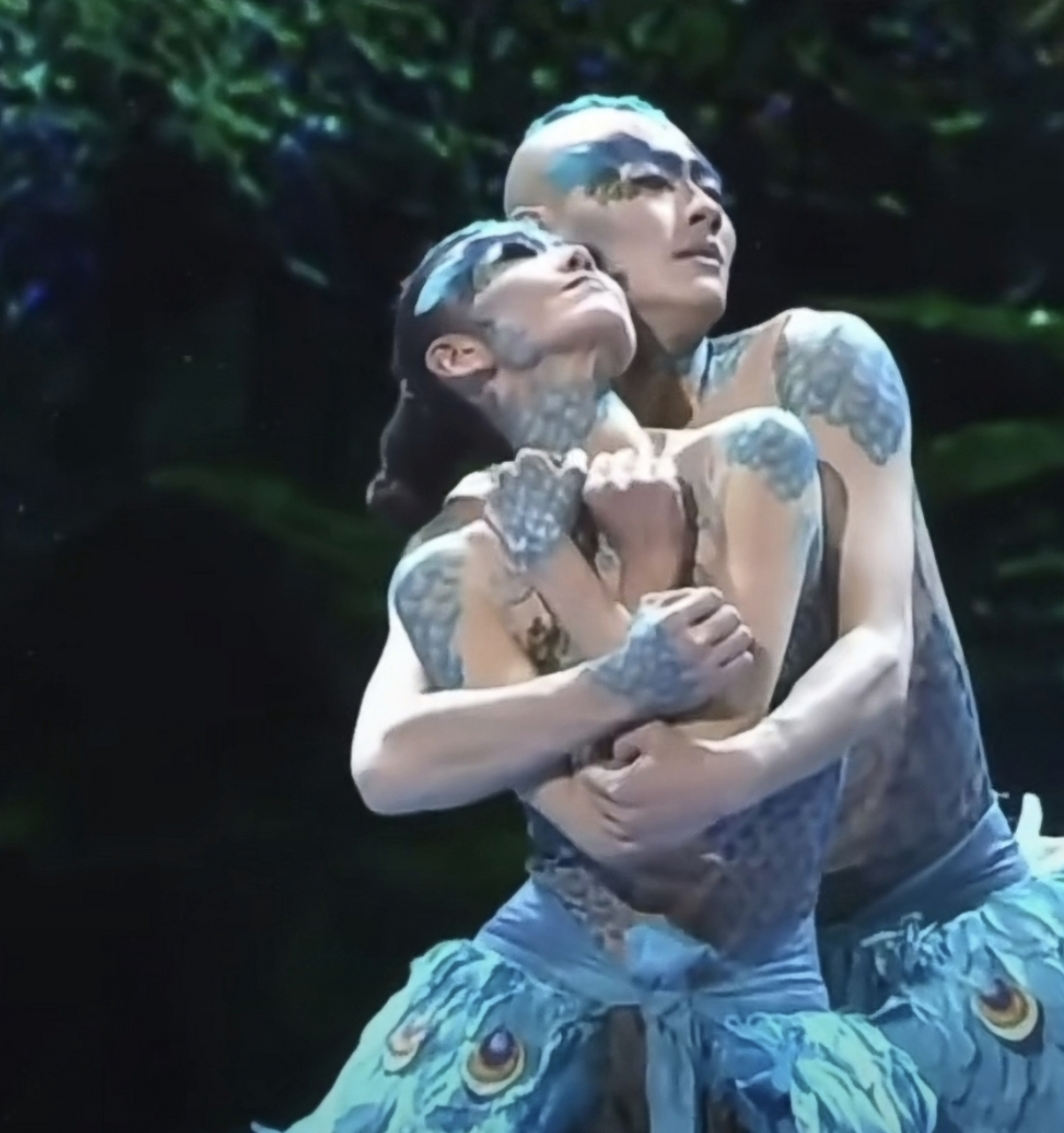 杨丽萍舞伴王迪抑郁症去世