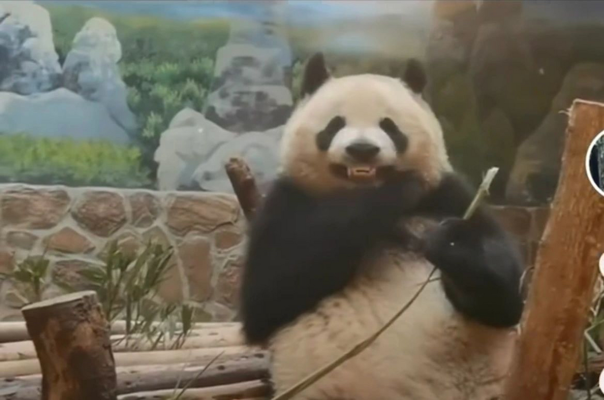 提问:二狗 润玥知道自己这么搞笑吗?