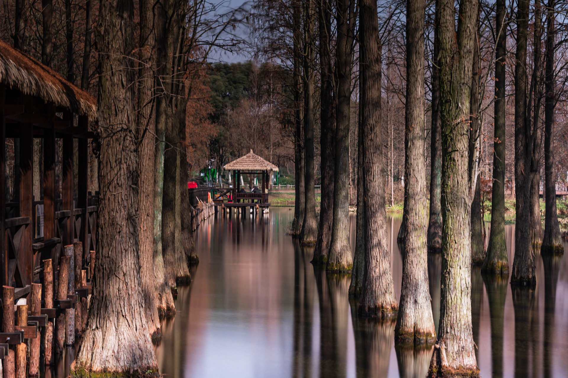 上海青浦区水上森林公园