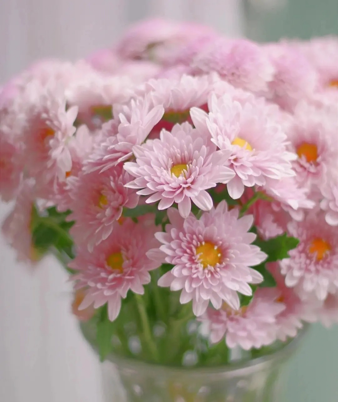 有个朋友,家境优渥,努力进取,能力出众,为人谦虚,深受老师和同学们的