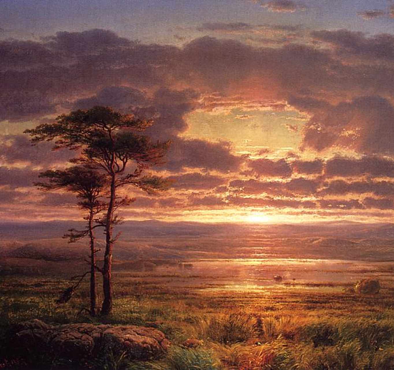 描绘了一幅美丽的风景画,画面中展现出一片宁静的田野和远处的山脉