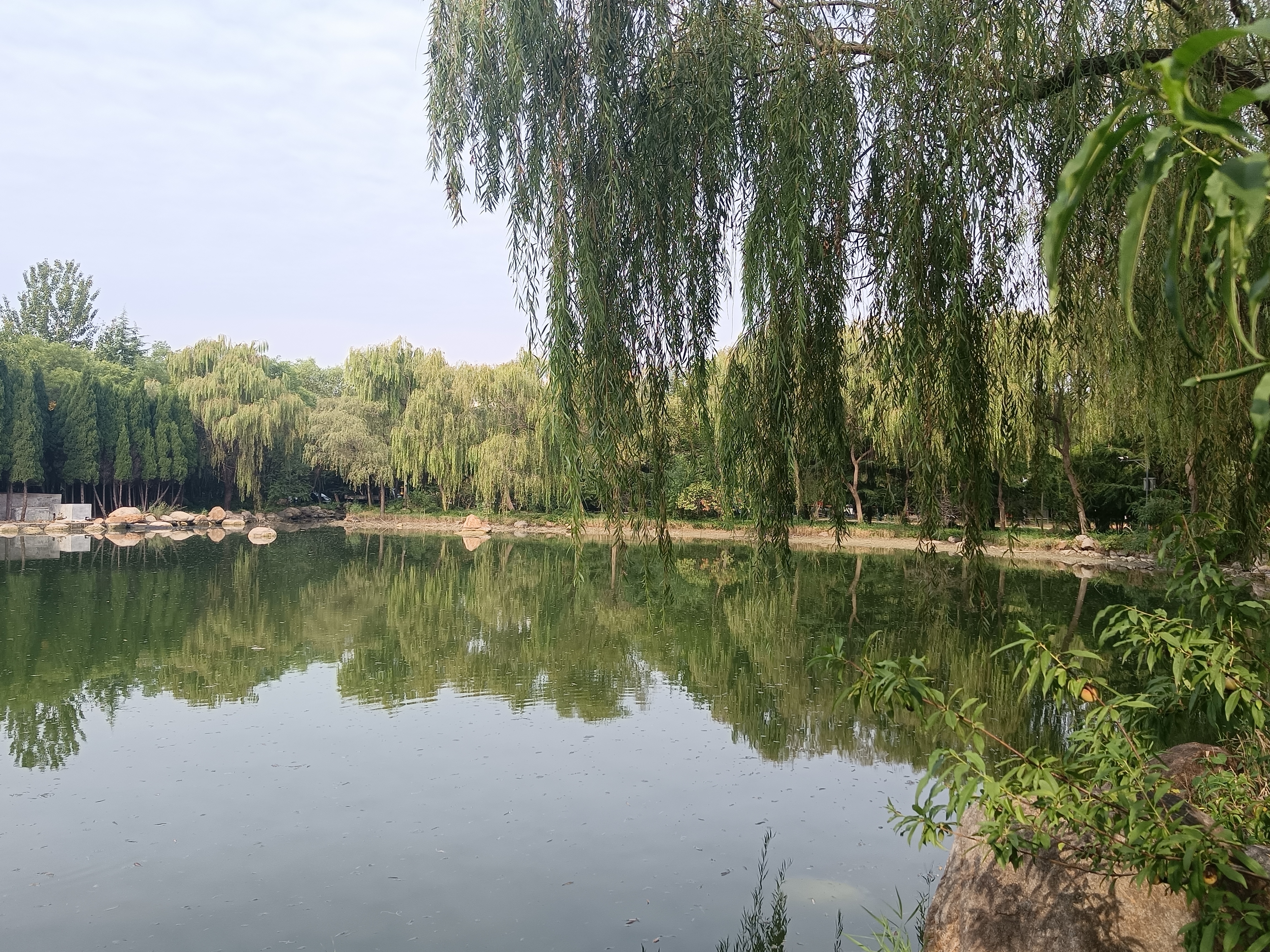 今天是潍坊一中建校110周年.我家大妞是66级的