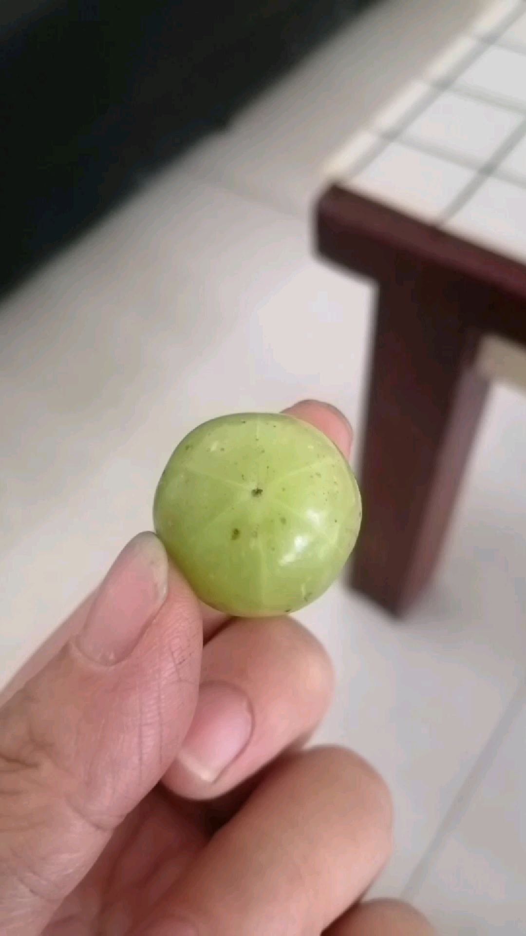 大产量滇橄榄榨汁设备油甘果余甘子榨汁机 无需去核破碎出汁率高