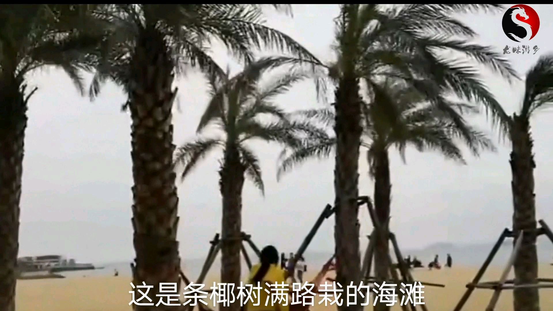 厦门必去的三个旅游打卡地,不需要门票,你想去吗?