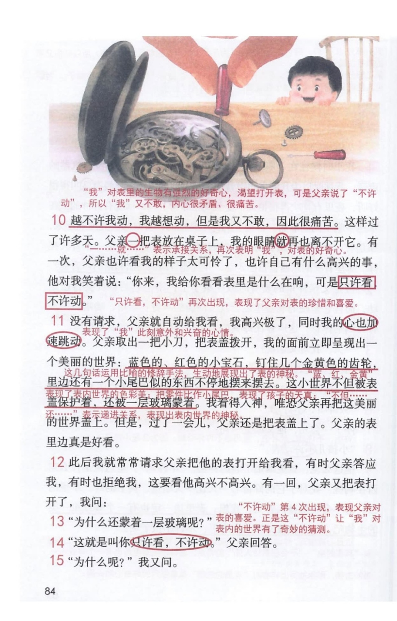 六年级语文下册第十六课《表里的生物》课堂笔记