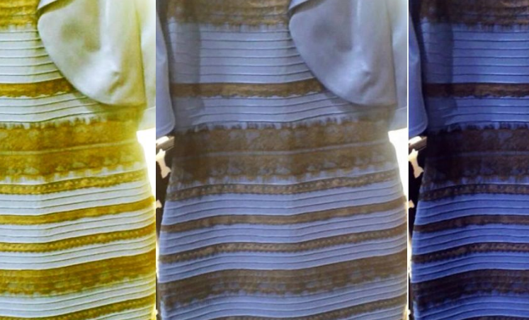 裙子是白金还是黑蓝