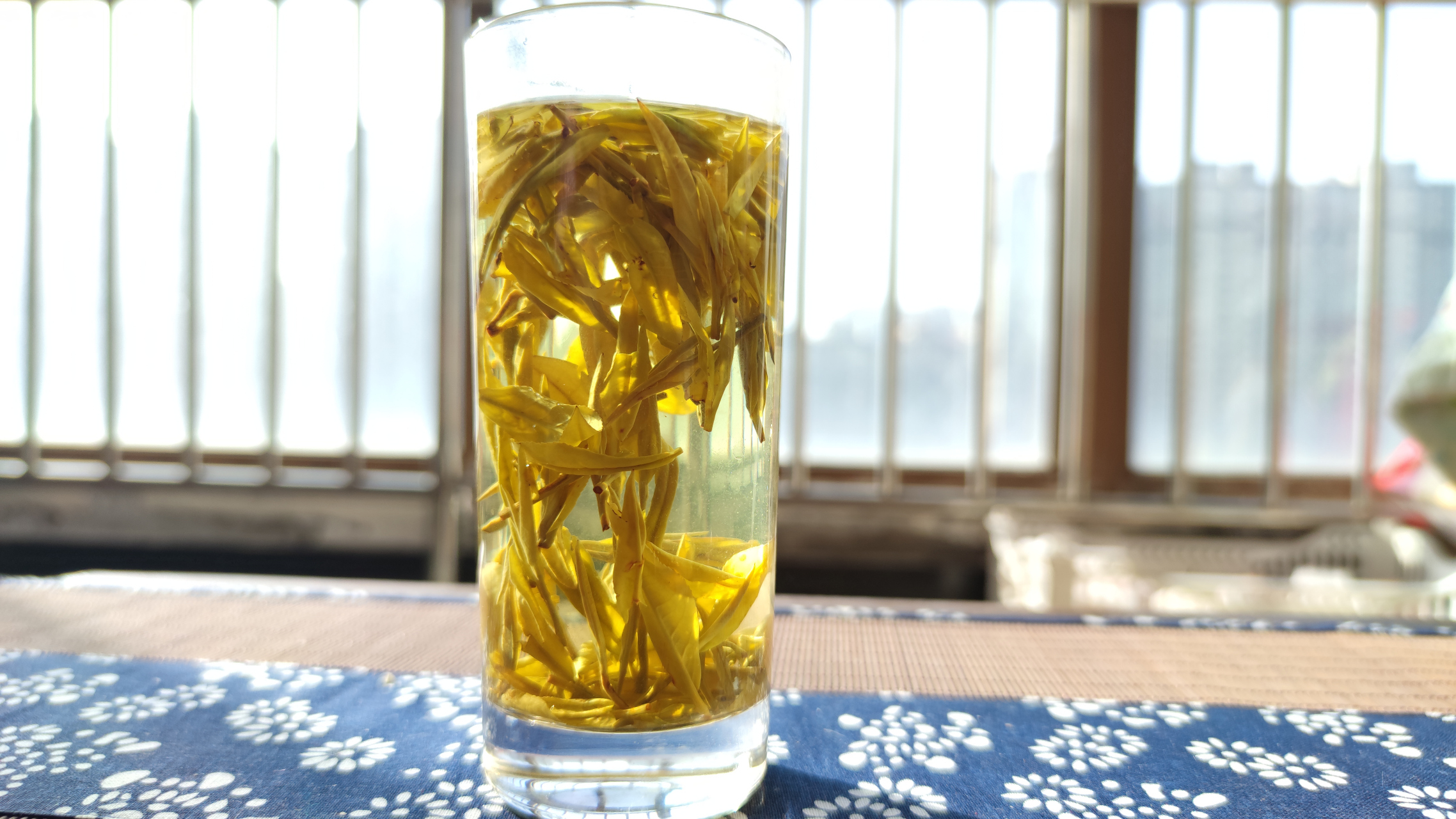 黄金芽礼盒装茶叶价格