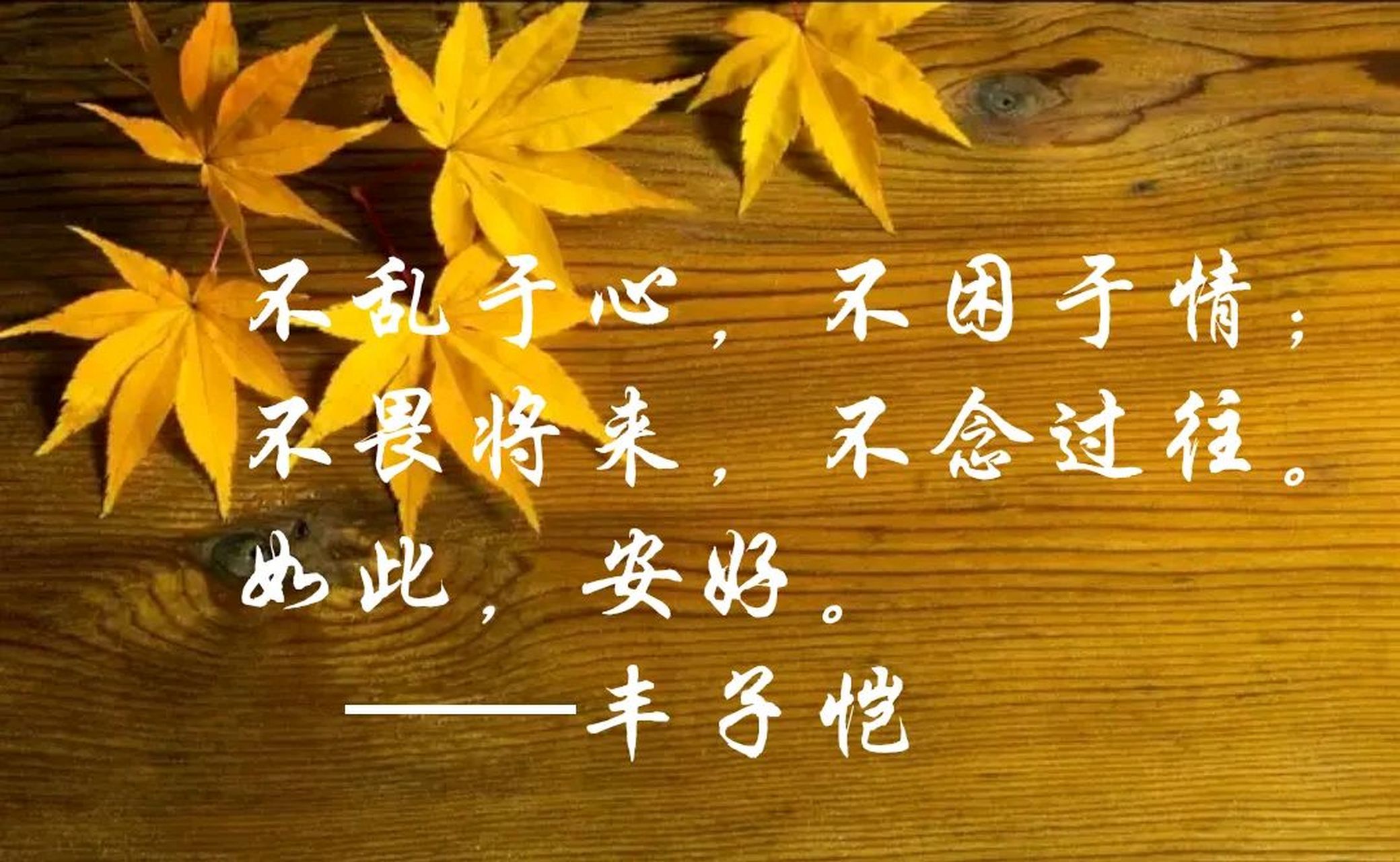 不乱于心,不困于情,不畏将来,不念过往 有谁能真正做到的?如此,安好!