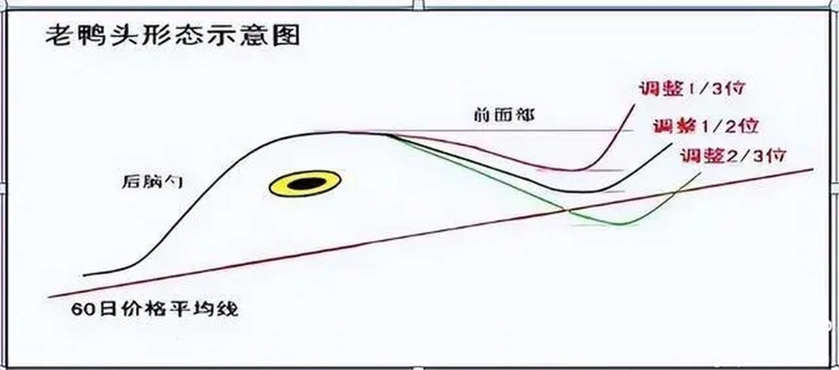 老鸭头: 老鸭头形态 老鸭头是庄家建仓,洗盘,过鸭头顶拉高等一系列