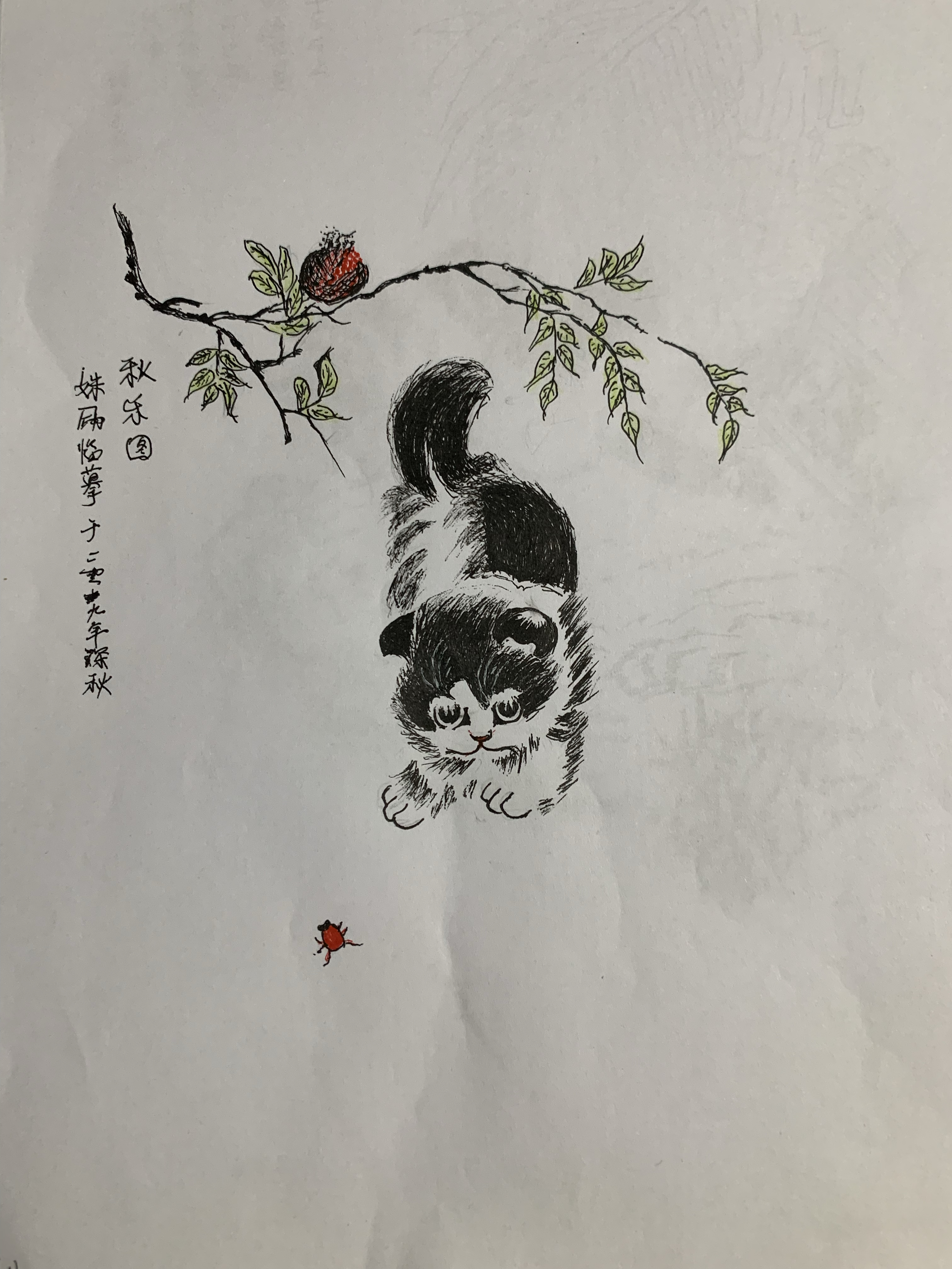 一组动物钢笔画临摹写生练习图