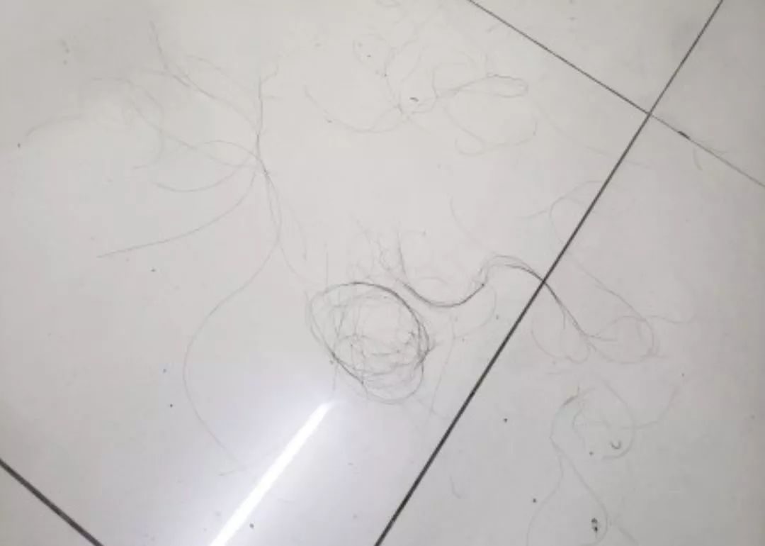 家里地上到处都是头发,清理很麻烦?