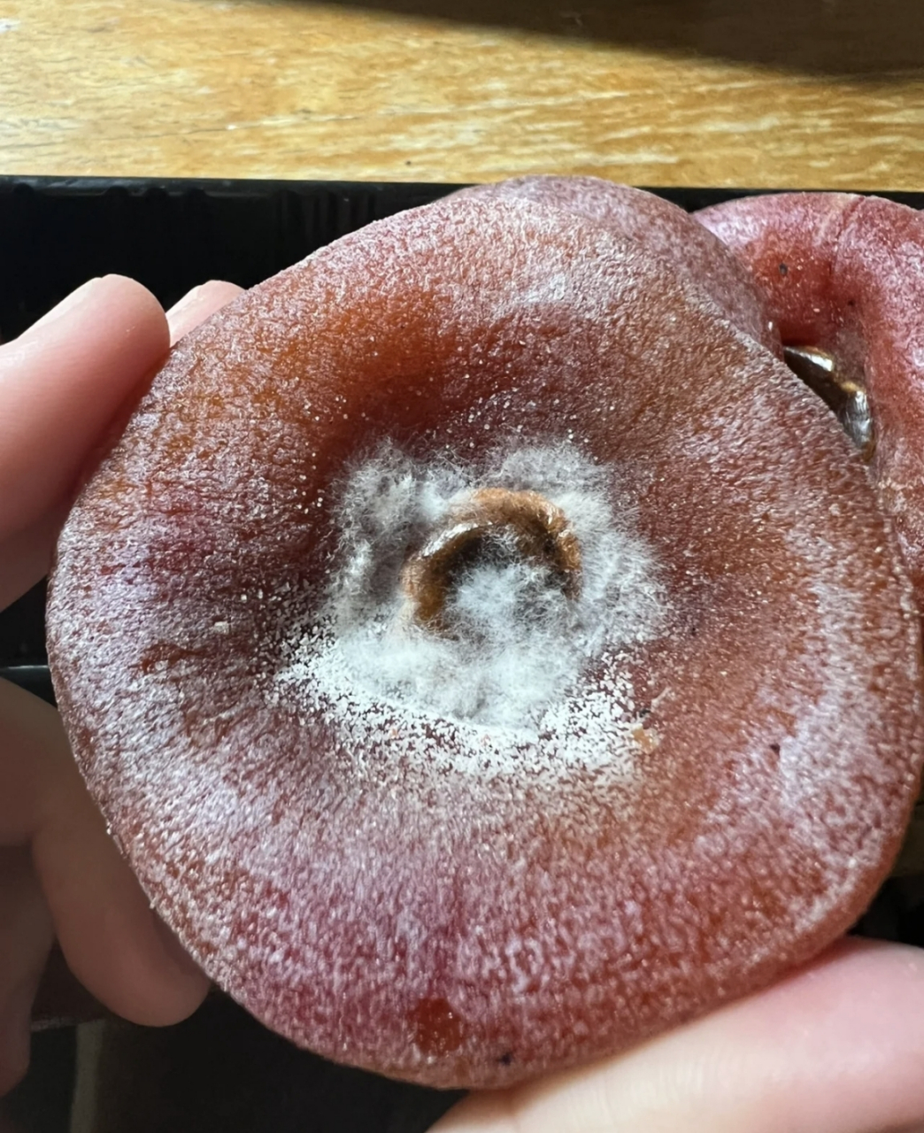 网友:求助,这柿饼是长糖霜了还是发霉长毛了