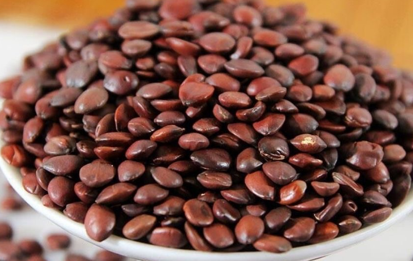 柏子仁和酸枣仁的区别是什么呢