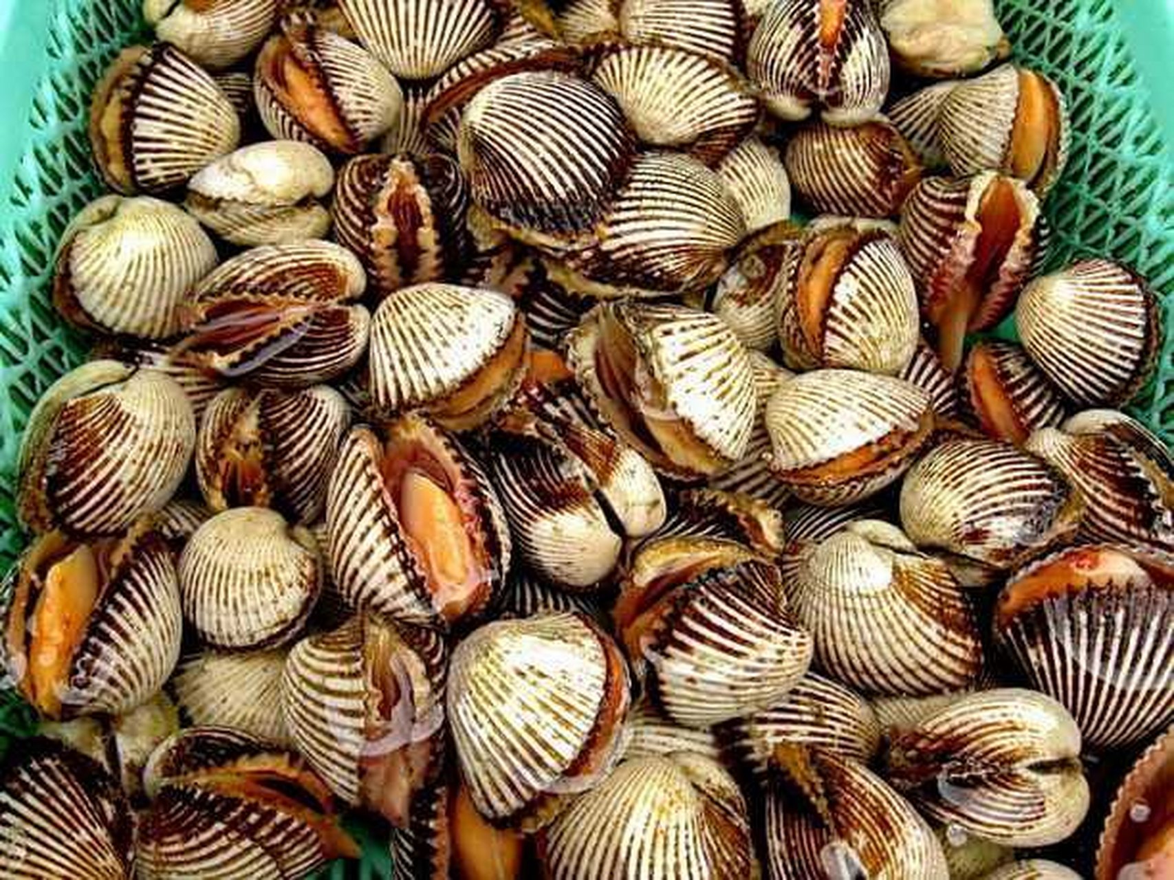 知名编剧李亚玲发帖,她在海南陵水县新村码头购买海鲜时,买的海鲜在