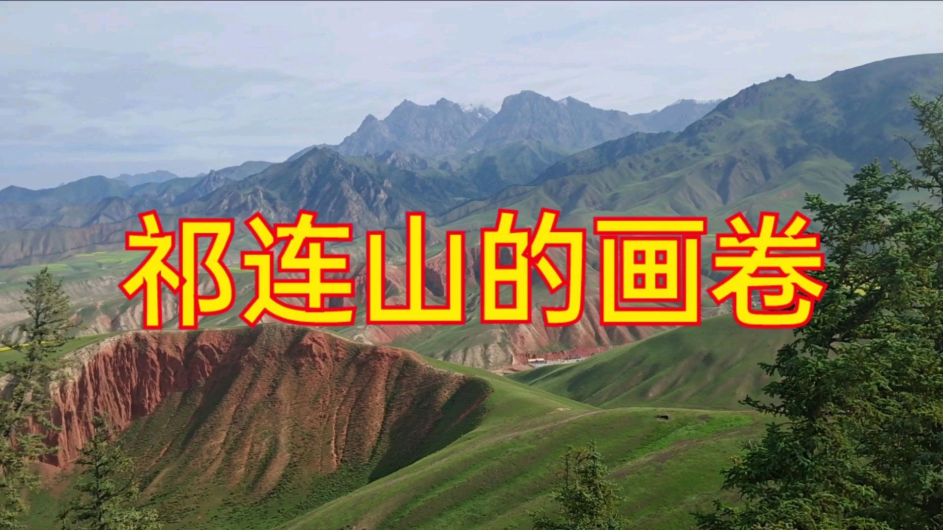 老两口自驾游,绵延千里祁连山,八月油菜花正艳