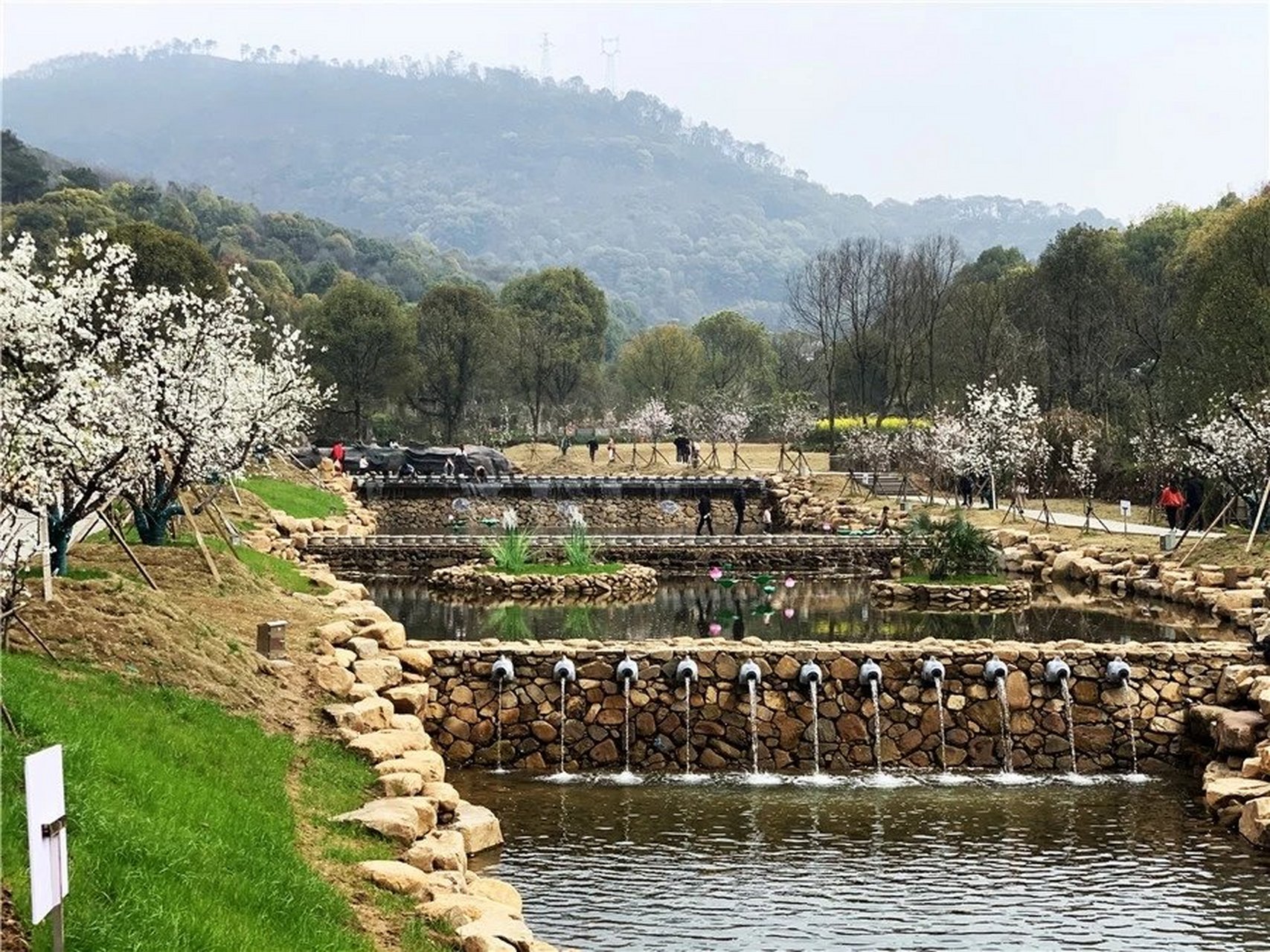 黄石市东方山梨花峪图片