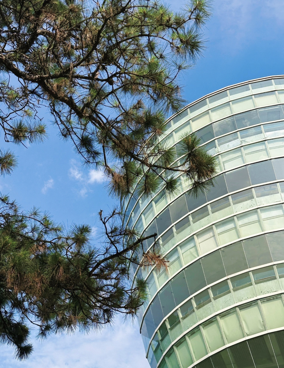 重庆南山一棵树观景台是我游览过的众多观景台中独树一帜的一个.