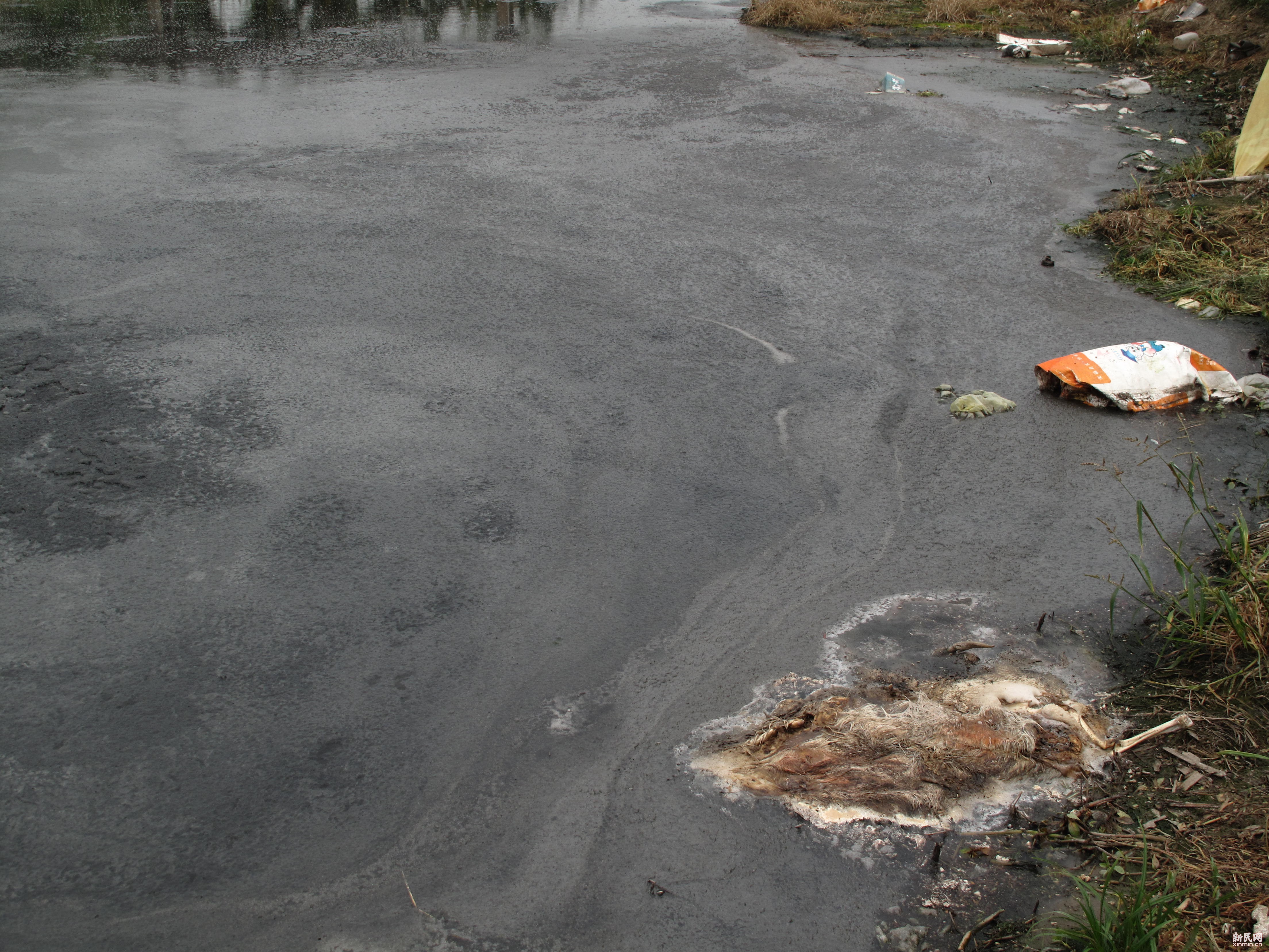 不然, 你的人生就会像一潭死水, 毫无生机,如同行尸走肉